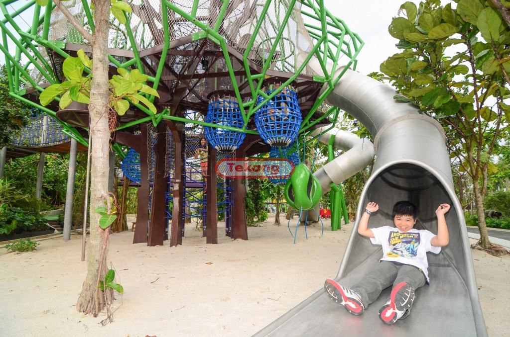 Gardens by the Bay – Far East Organization Children’s Garden